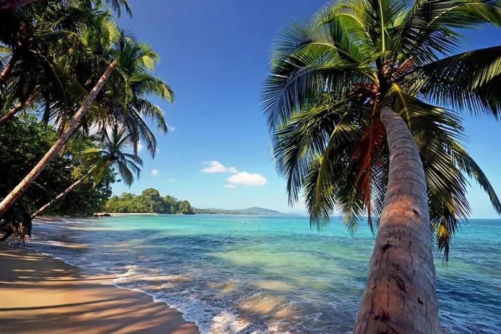 Roca Mar Rocawelch Puerto Viejo Aparthotel Puerto Viejo de Talamanca Eksteriør bilde
